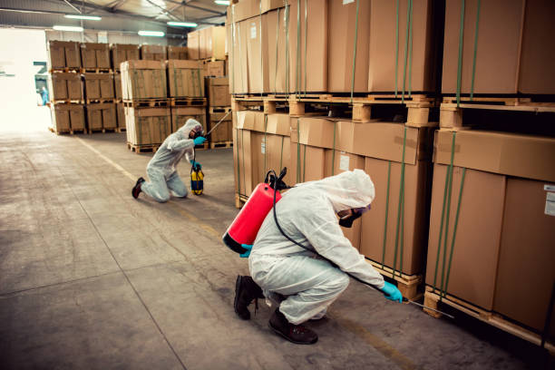 Best Affordable Pest Control Services  in Manchaca, TX