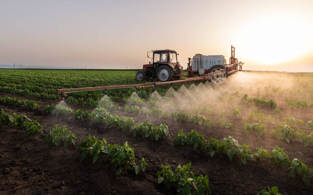 Professional Pest Control in Manchaca, TX
