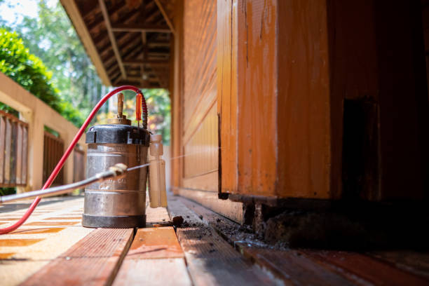 Best Mosquito Control Services  in Manchaca, TX